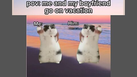 Cats meme part:04