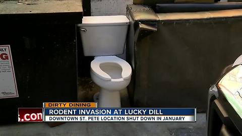 Dirty Dining: Lucky Dill Deli shut down overnight due to a dead rodent & 155 rodent droppings