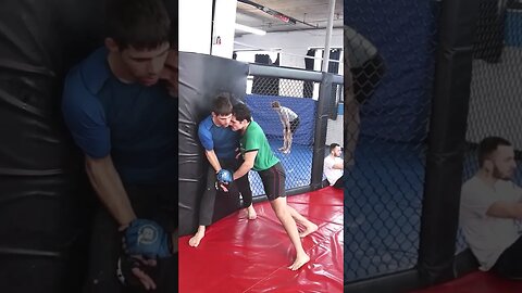 Cage work w the bro | Работа в клетке ММА | #mma #technique #MMA #техника