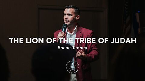 The Lion of the Tribe of Judah | Shane Tenney [November 4th, 2023]