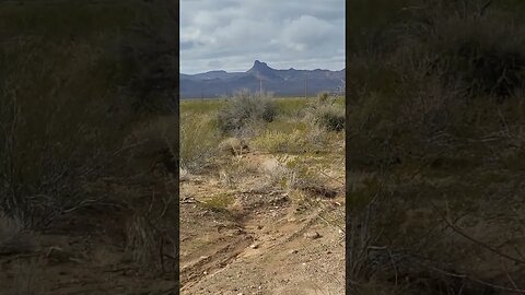 Heading up Rt 66 to Oatman AZ