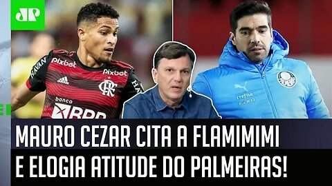 "É IMPORTANTE FALAR que o Palmeiras SOUBE..." Mauro Cezar ELOGIA gestão do Verdão e CITA a FLAMIMIMI