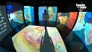 Van Gogh Alive at The Dali Museum | Giant Adventure