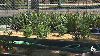 Boise woman brings horticultural therapy to City Light Home For Women and Children