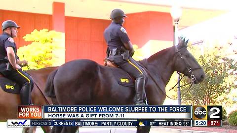 711 donates horse named Slurpee to the Baltimore Police Department