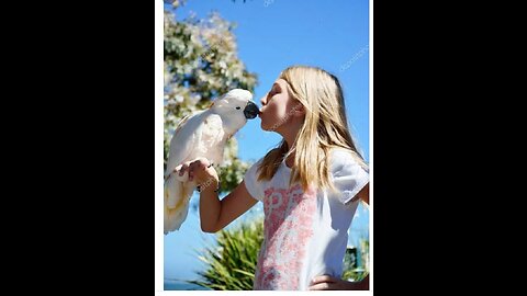 parrot eating a mouth in grain