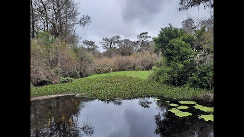 Big Cypress Preserve Trek