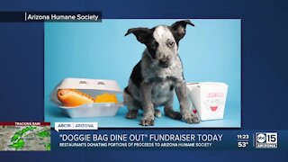 Help support the Arizona Humane Society through Doggie Bag Dine Out!