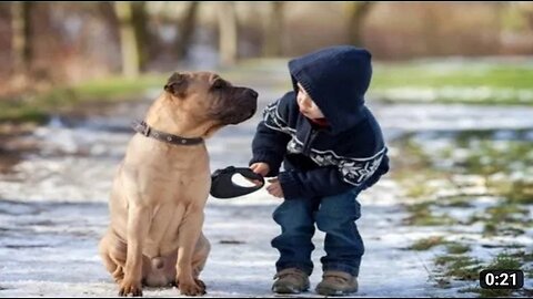 Baby boy playing with pet dog