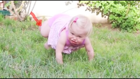 Funniest Baby's Outdoor - It's Try Not To Laugh || Baby Funny video