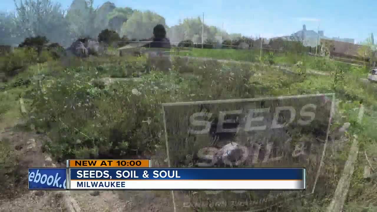 Seeds, Soil & Soul: Woman starts program in Lindsey Heights neighborhood to show value of farming