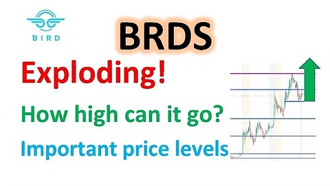 #BRDS 🔥 EXPLODING! another big day! how far it can run? price targets! $BRDS