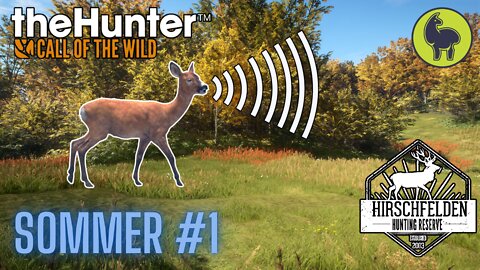 The Hunter: Call of the Wild, Sommer #1 Hirschfelden (PS5 4K)