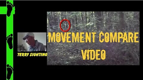 Movement Compare | Movement Caught During Investigation | Bigfoot