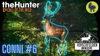 Conni #6 Hirschfelden | theHunter: Call of the Wild (PS5 4K)