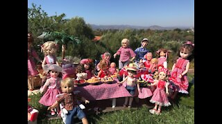 Dolls Hilltop Summer Picnic