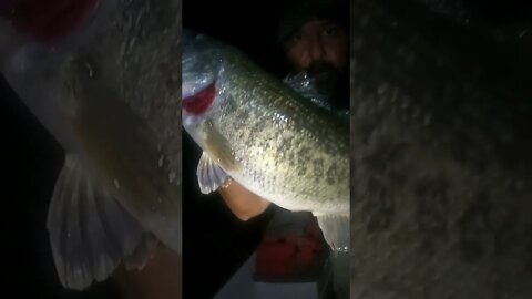 Night Fishing Is Best!!