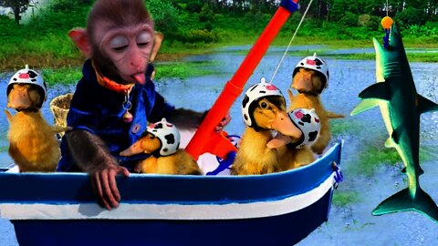 baby monkey animal bi bi | Bim Bim takes ducklings to go fishing baby shark