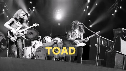 TOAD E O ROCK PSICODÉLICO SUÍÇO