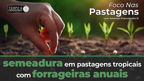 Foco nas Pastagens hoje com a sobre semeadura em pastagens tropicais com forrageiras anuais.