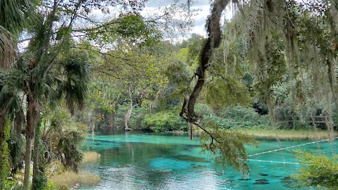 Rainbow Springs State Park