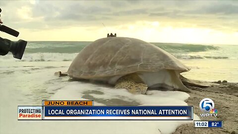 Loggerhead Marinelife Center in Juno Beach receives national attention