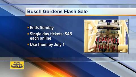 'Salute to Summer' flash sale: Busch Gardens, Adventure Island admission on sale until June 3