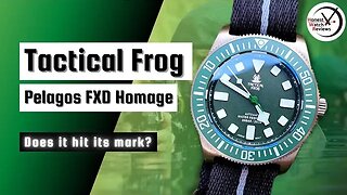 Tactical Frog (Titanium) FXD Diver Watch Review #HWR