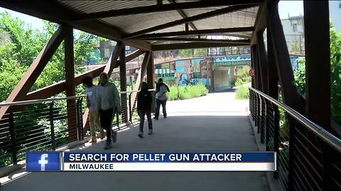 Businesses on edge after pellet gun shooting