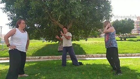 Clase de Tai chi parque del norte