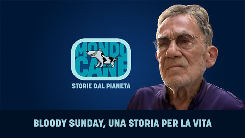 BLOODY SUNDAY, UNA STORIA PER LA VITA | Fulvio Grimaldi in MONDOCANE, Storie dal pianeta