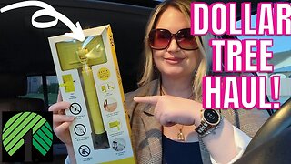 DOLLAR TREE CAR HAUL | NEW ITEMS | ELK GROVE, CA | #DOLLARTREE