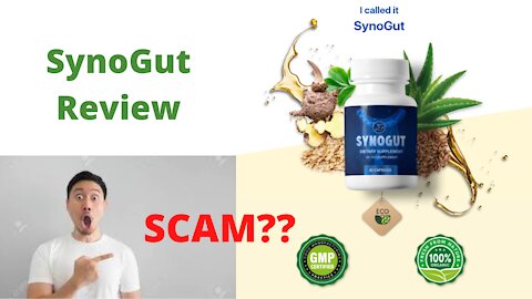 SynoGut Review - Digestive Solution