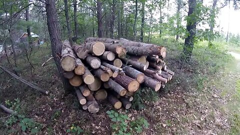 Hauling Logs For Fire Wood ~ Melanie Canning Garden Harvest