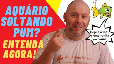 🔴 Bolhas Saindo do Substrato do Aquário - Mistério Revelado!