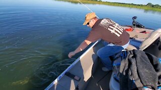 Catching Northern pike on light tackle😬