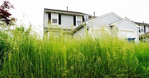 Yard Care When SHTF