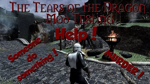 Skyrim - Tears of the Dragon - Mod Testing