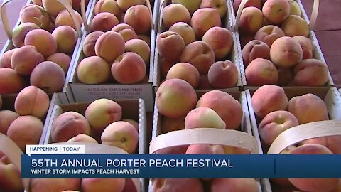 55th annual porter peach festival