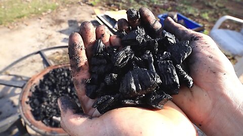 Amazing Biochar & How to Make It