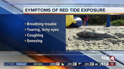 Beach hazard warning for red tide in Southwest Florida