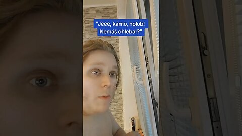 Viděli jsme s KÁMOŠEM za oknem HOLUBA! 🐦 Zeptal jsem se ho, jestli nemá CHLEBA! Jeho REAKCE!?