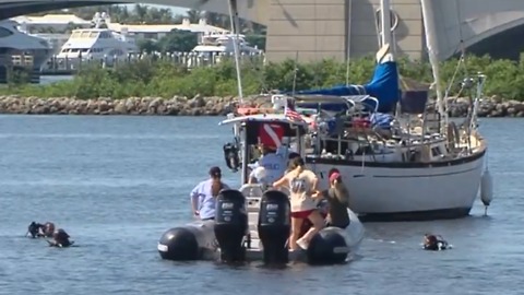 Weird finds during Intracoastal cleanup