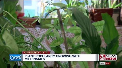 Plants a growing trend among Omaha millennials