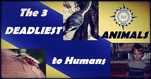 The 3 Deadliest Animals to Humanity