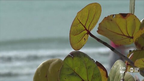 Pinellas County community close to banning e-bikes, scooters on the beach