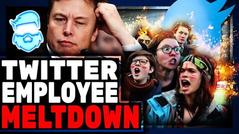 Twitter Employees Make INSANE Demands Of Elon Musk In Leaked Letter! 75% Of Staff Set To Be FIRED!