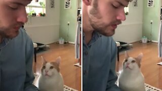 Cat Loves Owner's Piano Playing, Requests To Cuddle With Him