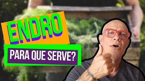 O que é Endro e para que Serve?