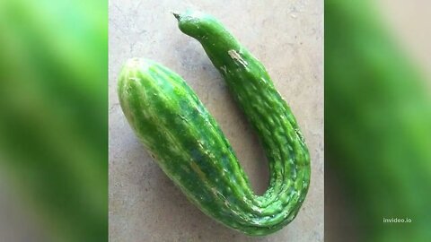 Pickle Finance Price Prediction 2022, 2025, 2030 PICKLE Price Forecast Cryptocurrency Price Predic